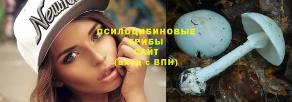 хмурый Костерёво