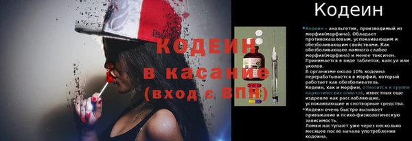 мдпв Кодинск
