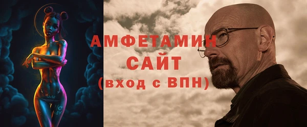 шишки Няндома