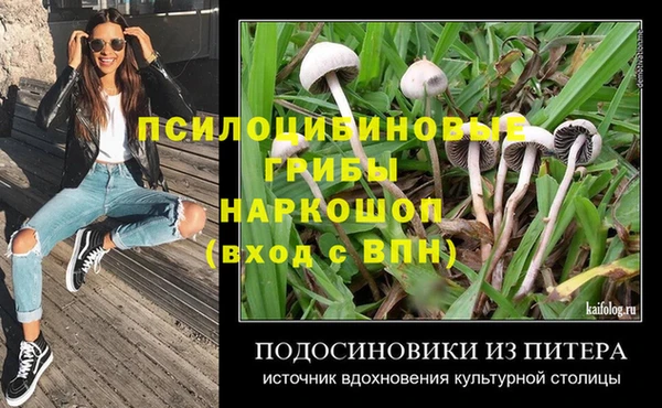 мдпв Кодинск