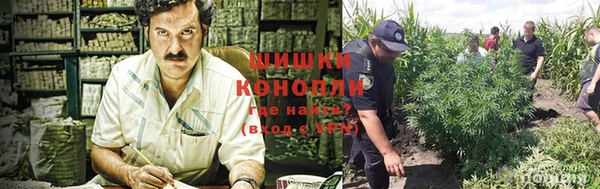 ECSTASY Братск