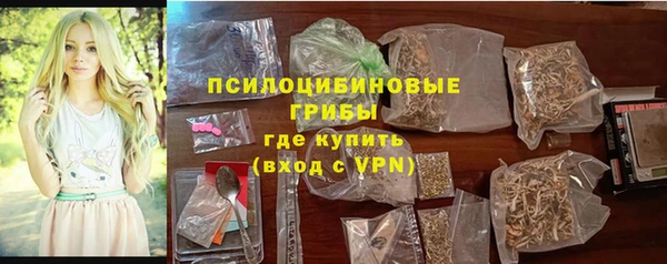 мдпв Кодинск