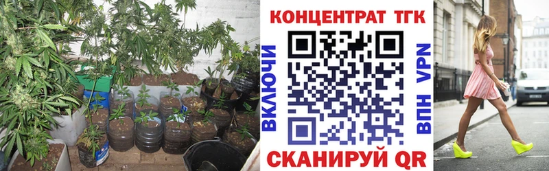 как найти закладки  Буинск  ТГК Wax 